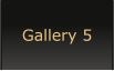 Gallery 5