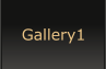 Gallery1