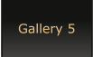 Gallery 5