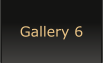 Gallery 6