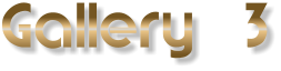 Gallery  3