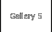Gallery 5