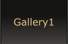 Gallery1