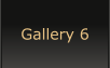 Gallery 6