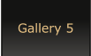Gallery 5