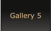 Gallery 5