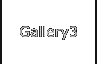 Gallery3