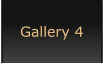 Gallery 4