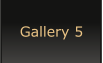 Gallery 5