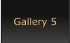 Gallery 5