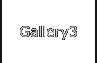 Gallery3