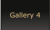 Gallery 4