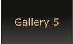 Gallery 5
