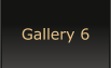 Gallery 6