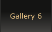 Gallery 6