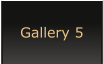 Gallery 5