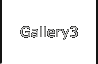 Gallery3