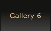 Gallery 6