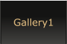 Gallery1