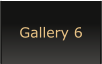 Gallery 6