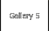 Gallery 5
