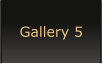 Gallery 5