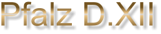 Pfalz D.XII