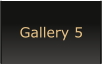 Gallery 5