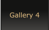 Gallery 4