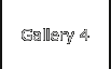 Gallery 4