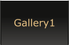 Gallery1