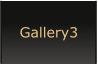 Gallery3