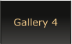 Gallery 4