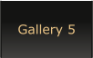 Gallery 5