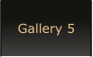 Gallery 5