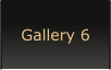 Gallery 6