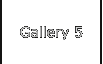 Gallery 5