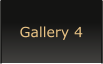 Gallery 4