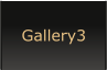 Gallery3