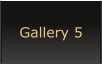 Gallery 5