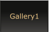Gallery1