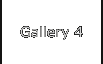 Gallery 4