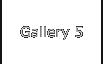 Gallery 5
