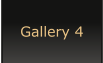 Gallery 4