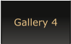 Gallery 4