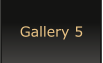 Gallery 5