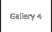 Gallery 4