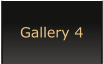 Gallery 4