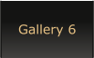 Gallery 6
