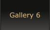 Gallery 6